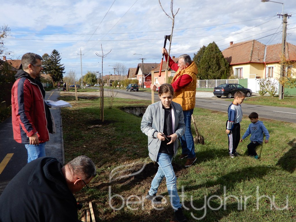 Közösségi faültetés Berettyóújfaluban 47